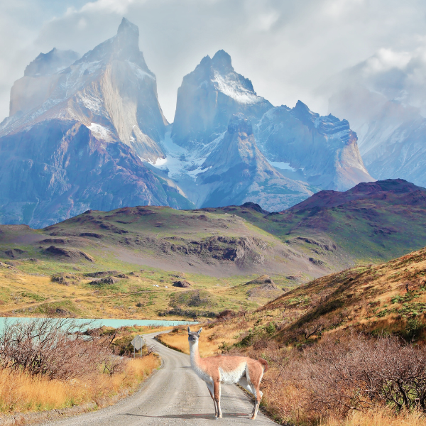 Machu Picchu, Patagonia & Buenos Aires - The Ultimate South America Bucket List